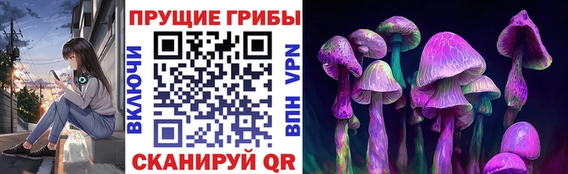 Купить где  Тайшет  Псилоцибиновые грибы MAGIC MUSHROOMS 